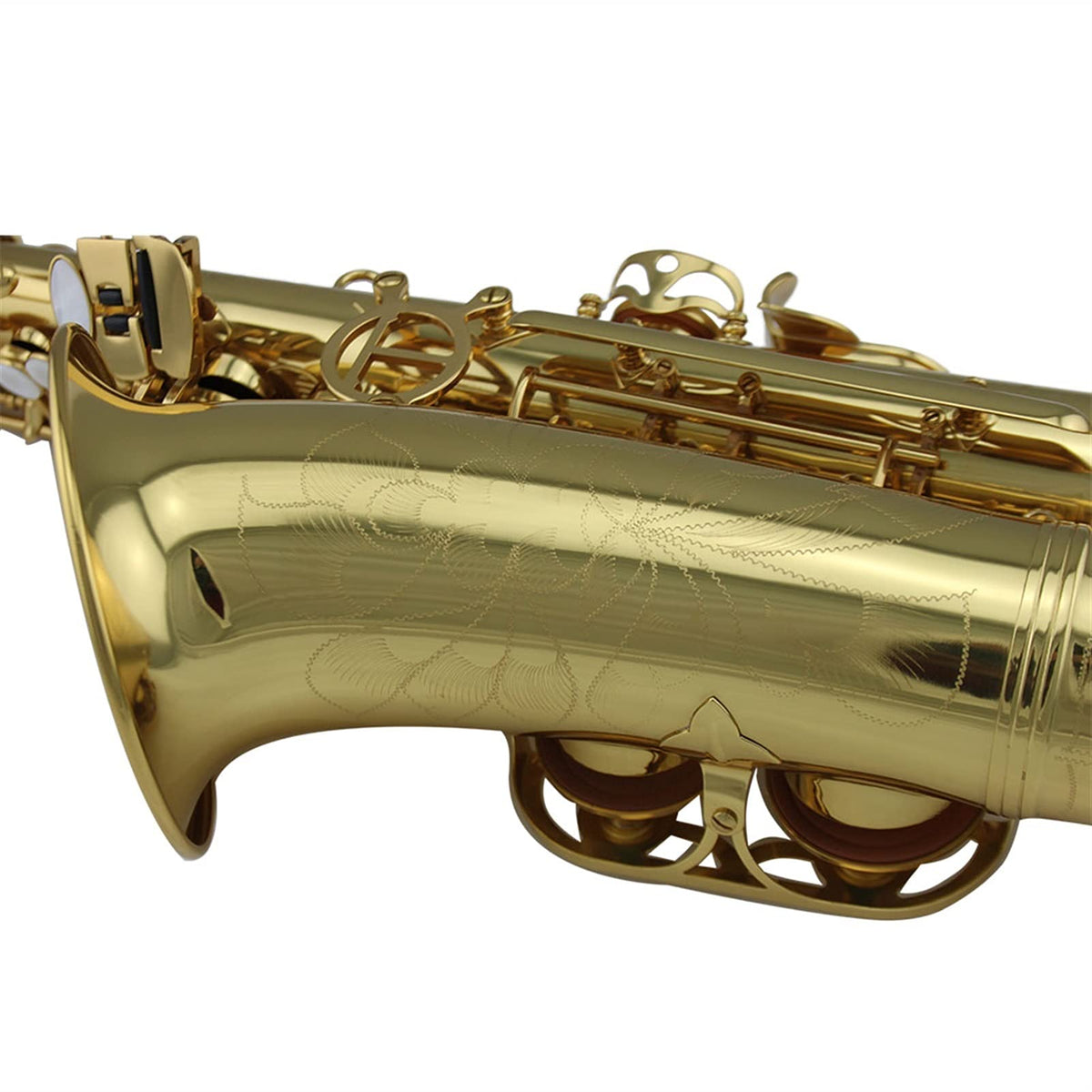 Gold Lacquer Alto Saxophone Set R2536
