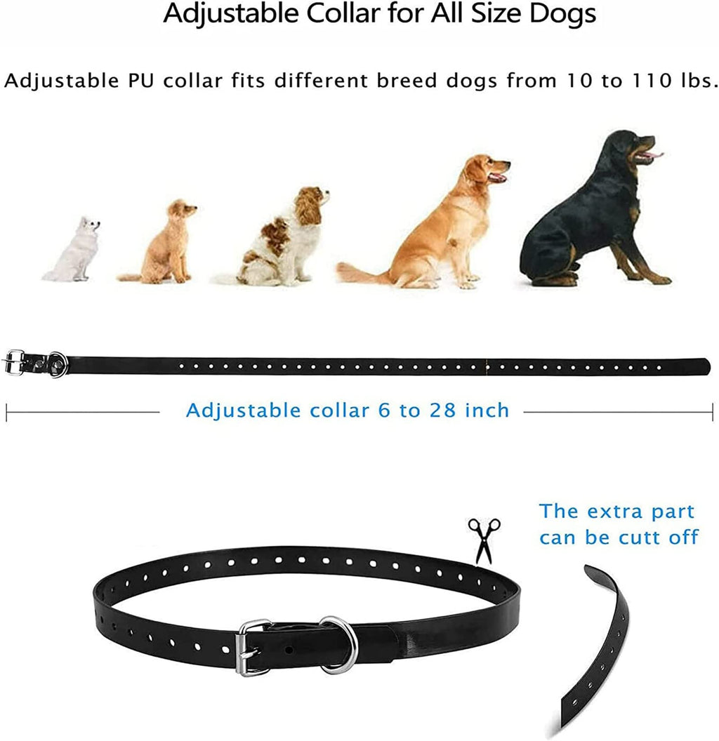 In-Ground Electric Dog Fence up to 1/2 Acre Q119060