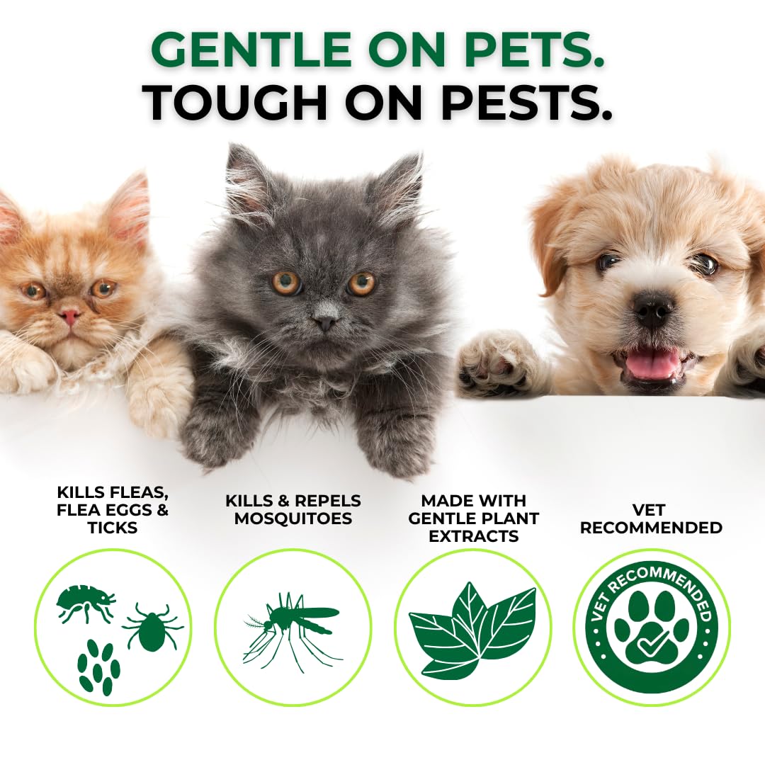 32 oz Hose-End Outdoor Flea & Tick Spray R51824