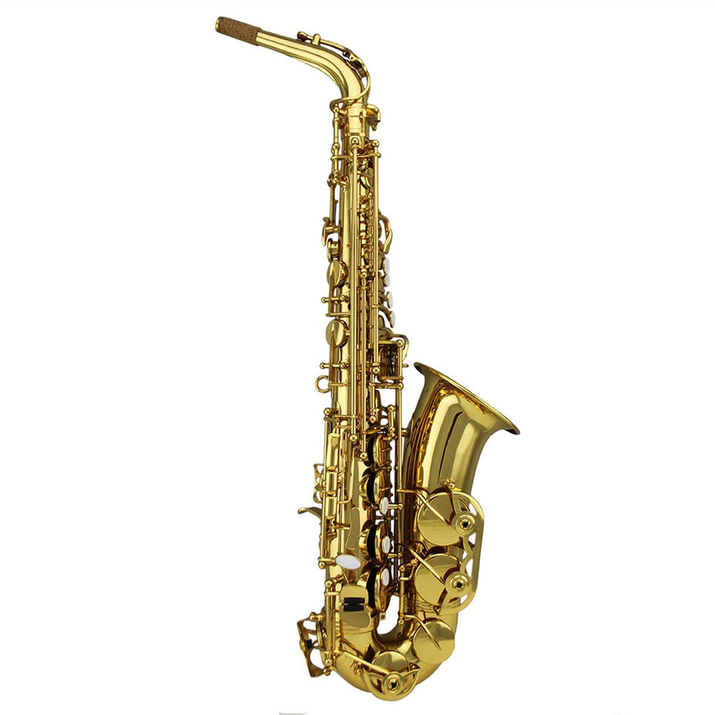 Gold Lacquer Alto Saxophone Set R2536