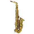Gold Lacquer Alto Saxophone Set R2536