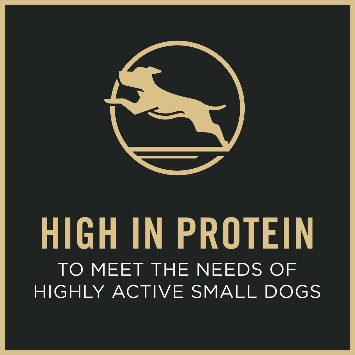 Chicken & Rice Small Breed Dry Dog Food E68908