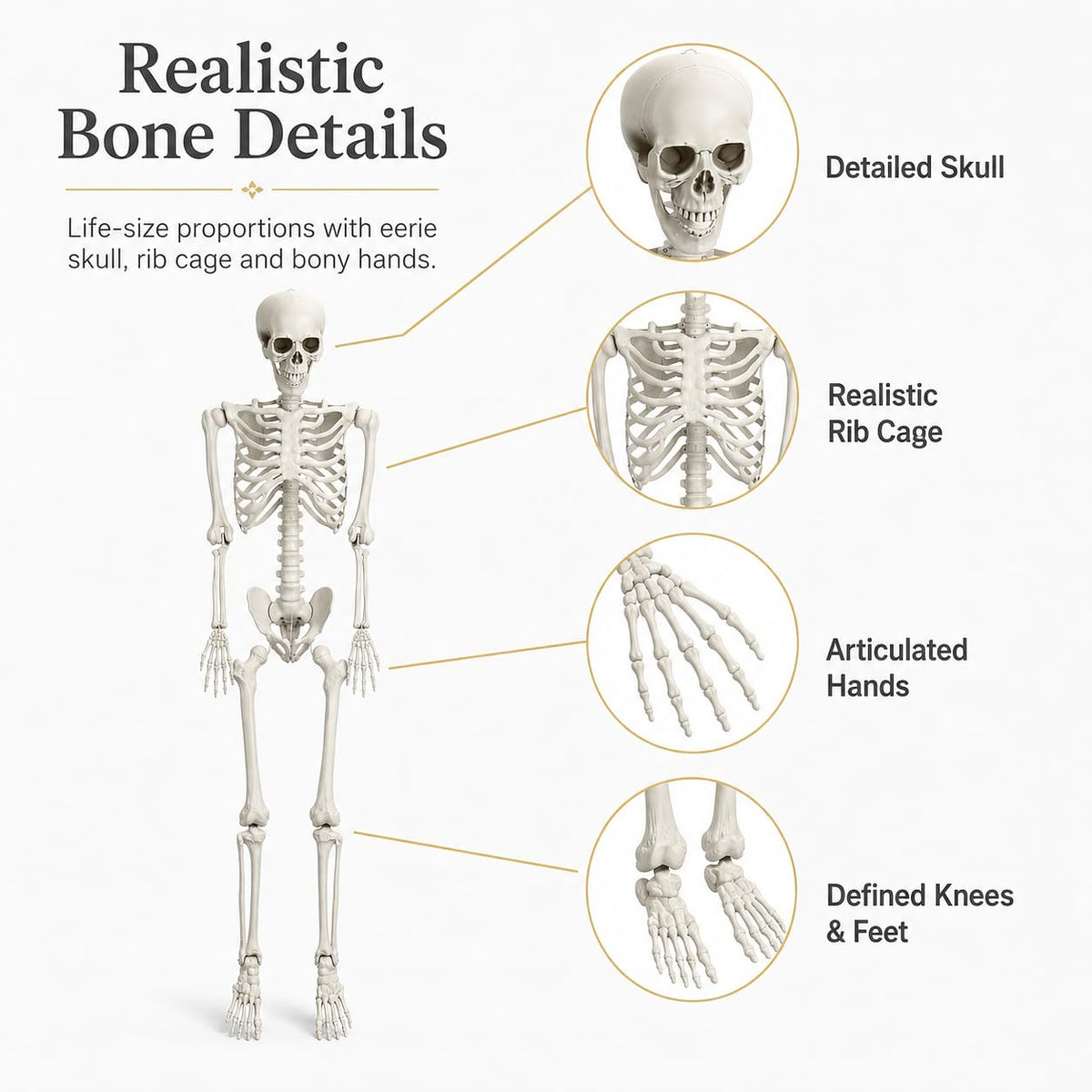 5.4 FT Poseable Skeleton A35637