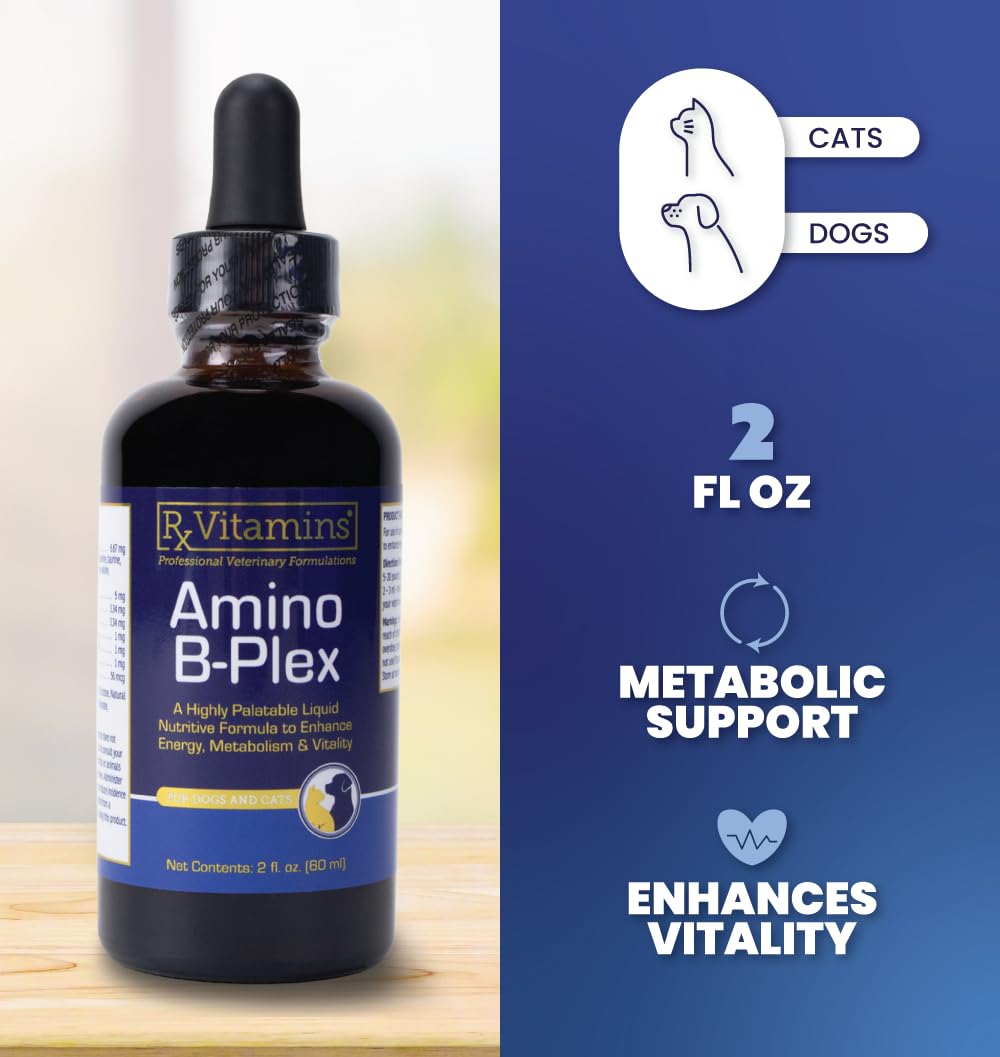 Liquid Pet Supplement with Vitamin B Complex & Iron 2 fl oz X933706