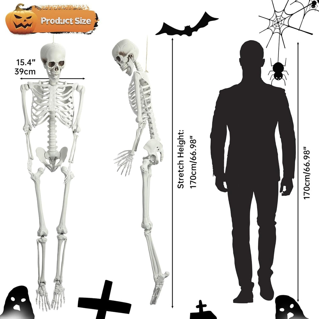 5.4 Ft White Skeleton with Movable Joints R36655
