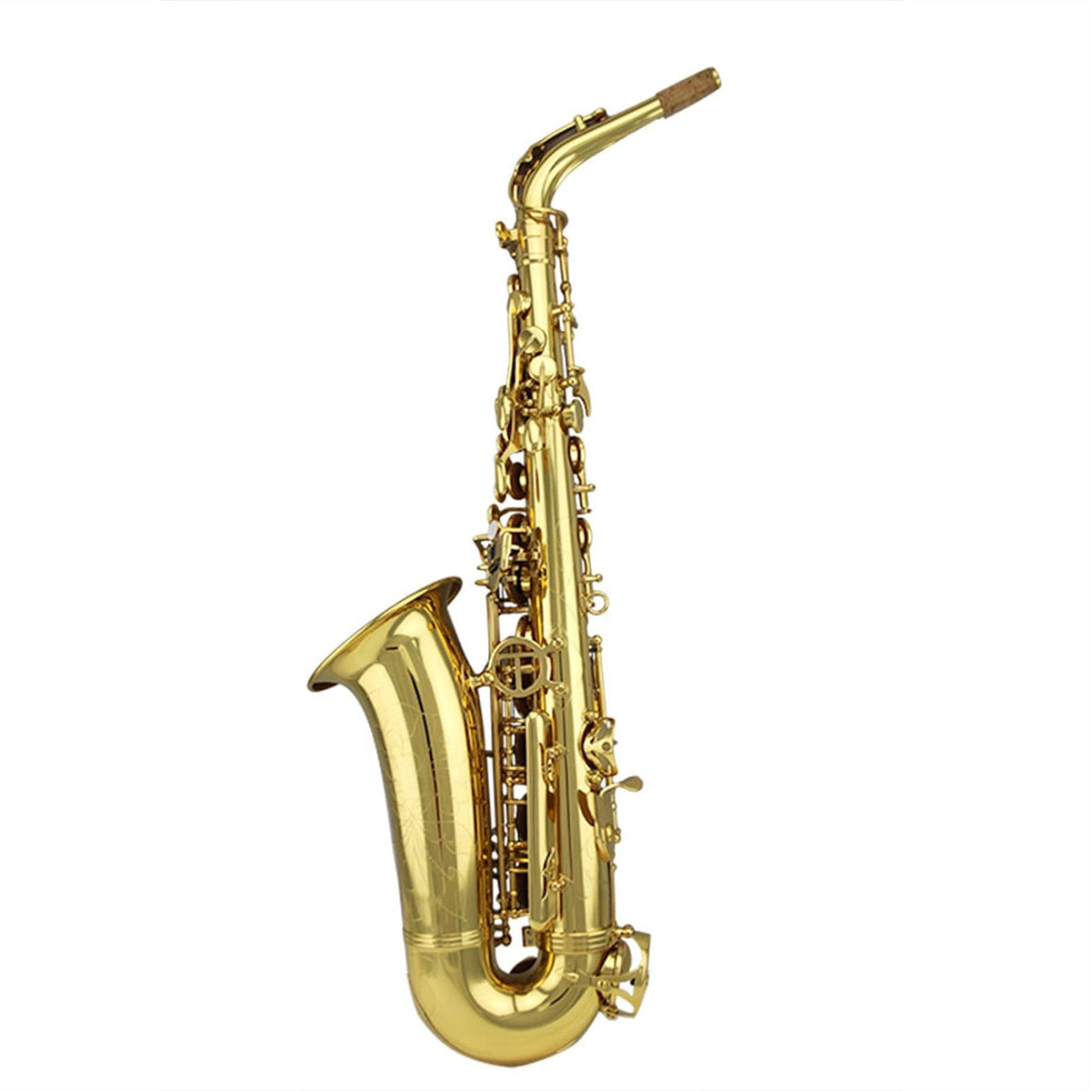 Gold Lacquer Alto Saxophone Set R2536