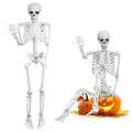 5.4 Ft White Skeleton with Movable Joints R36655