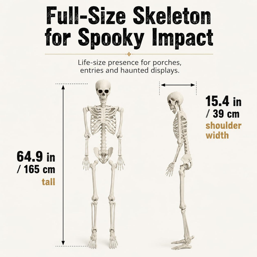 5.4 FT Poseable Skeleton A35637
