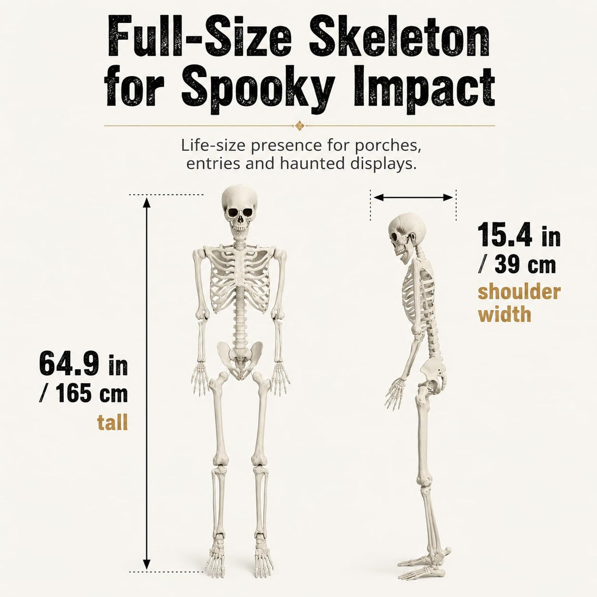 5.4 FT Poseable Skeleton A35637