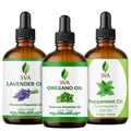 Oregano Aromatic Trio Glass Bottles with Droppers 4 Fl oz V5300