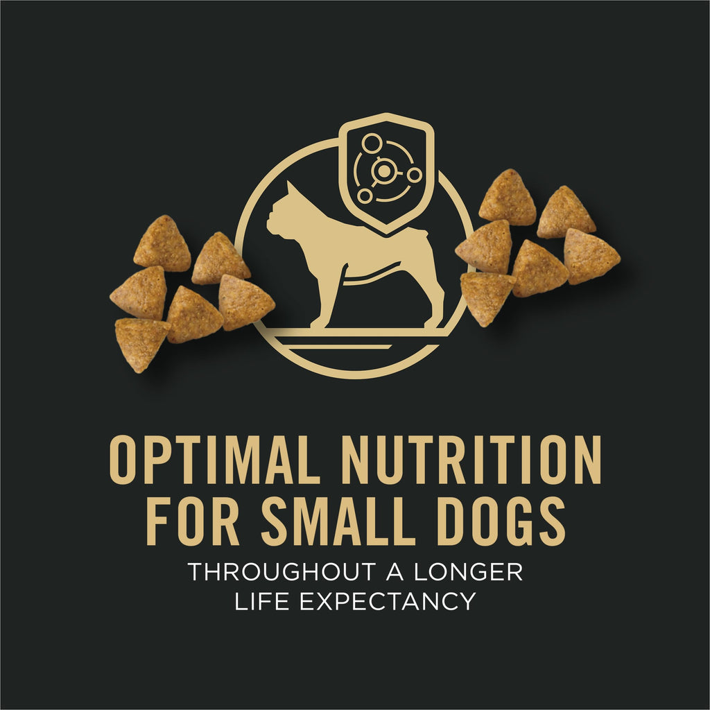 Chicken & Rice Small Breed Dry Dog Food E68908