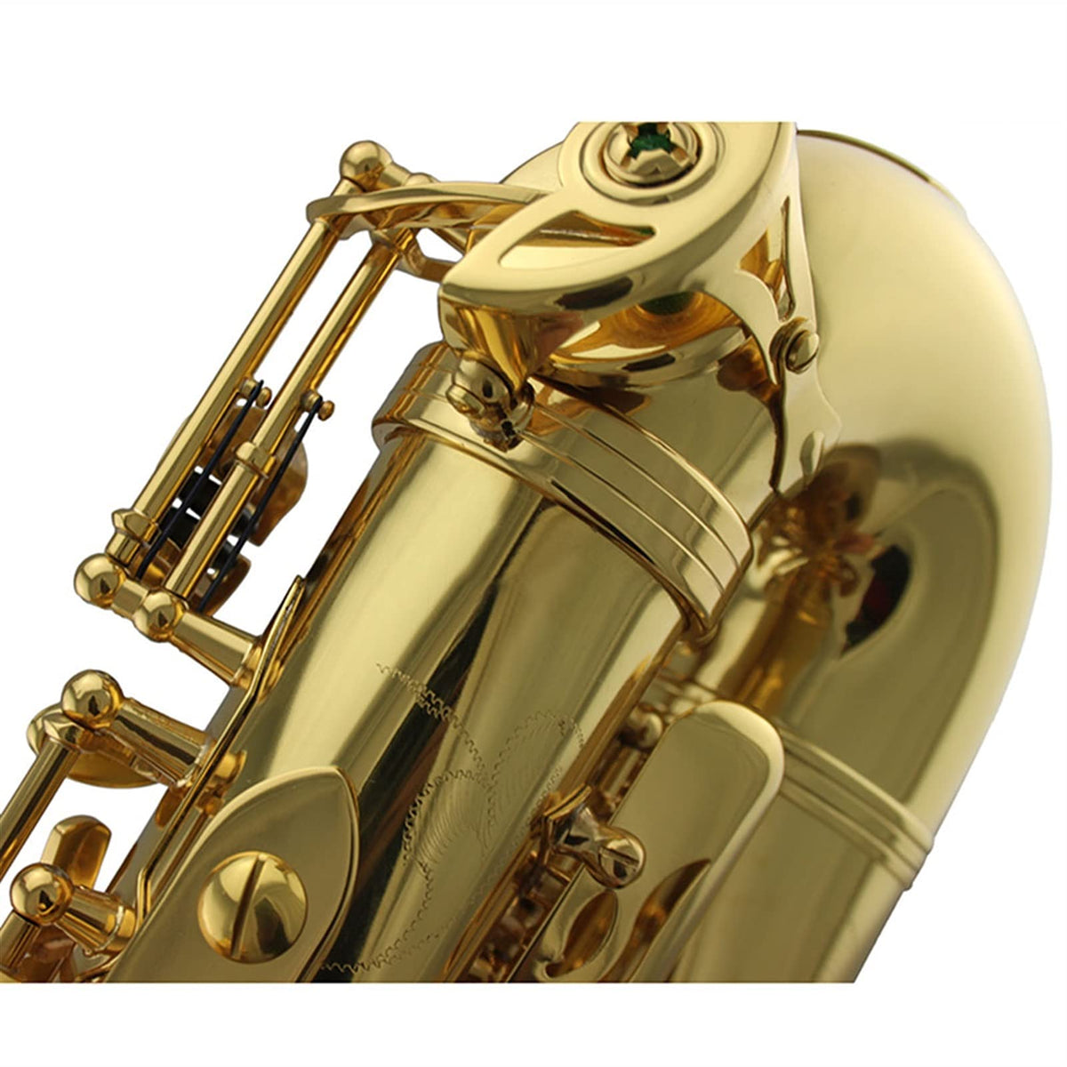 Gold Lacquer Alto Saxophone Set R2536