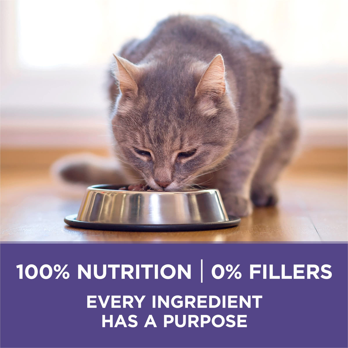 Natural Hairball Control Dry Cat Food, 16 lb Bag U126475