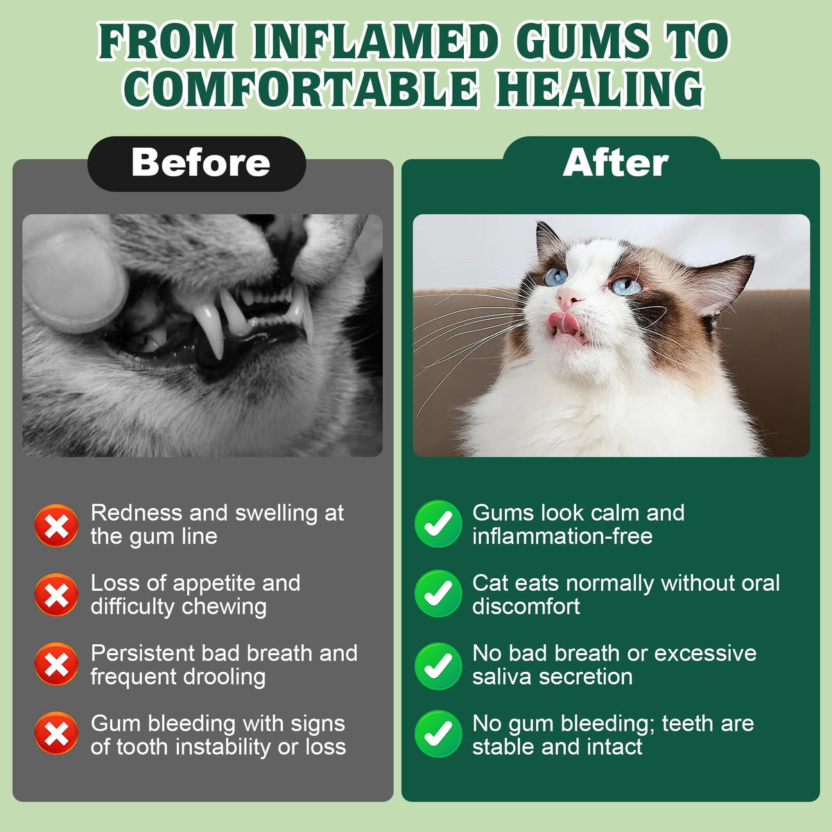 Natural Plant-Based Cat Oral Care 4 oz C40125