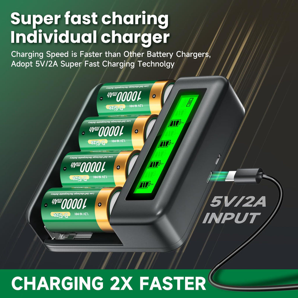 Rechargeable D Batteries with Charger A555658