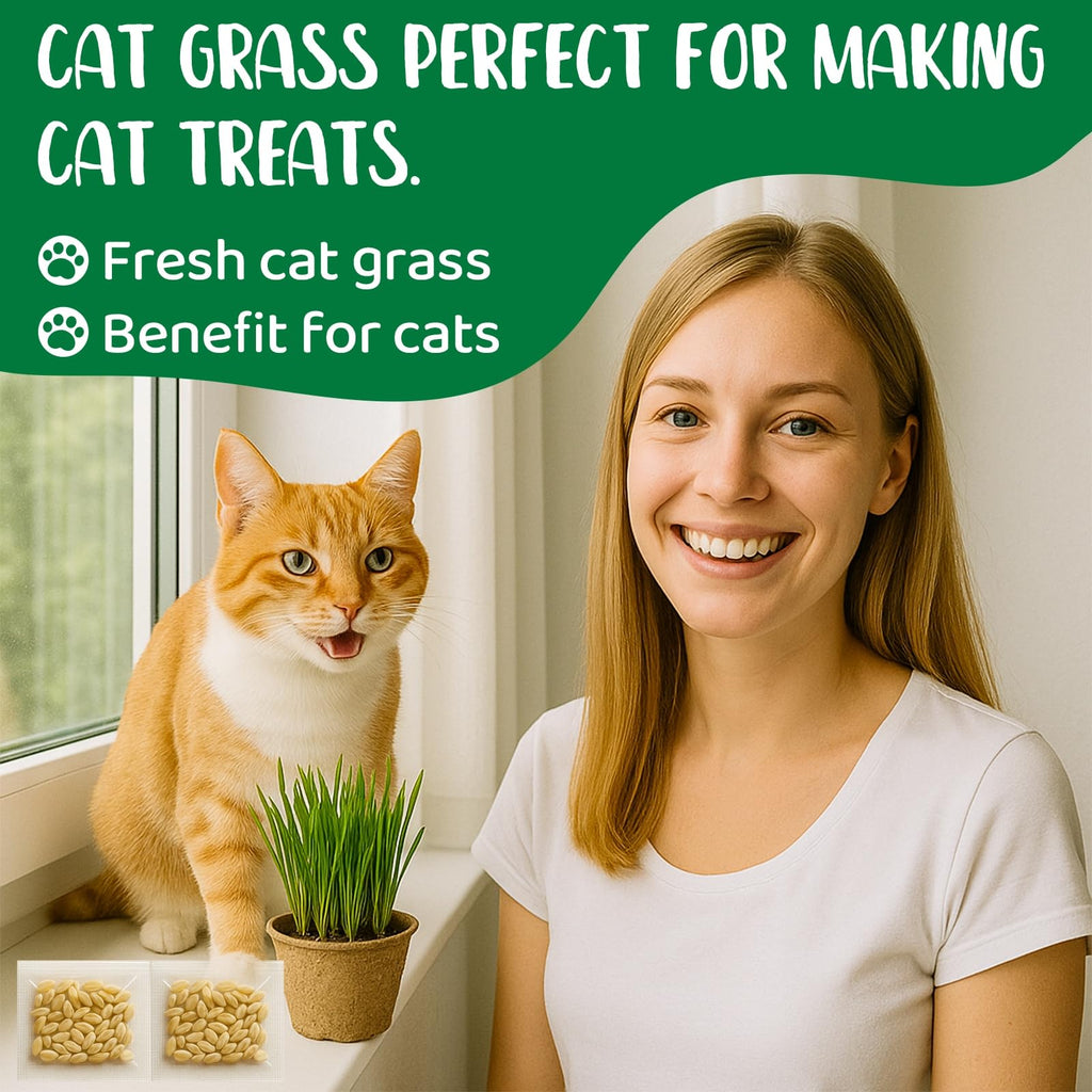Cat Grass Growing Kit O695