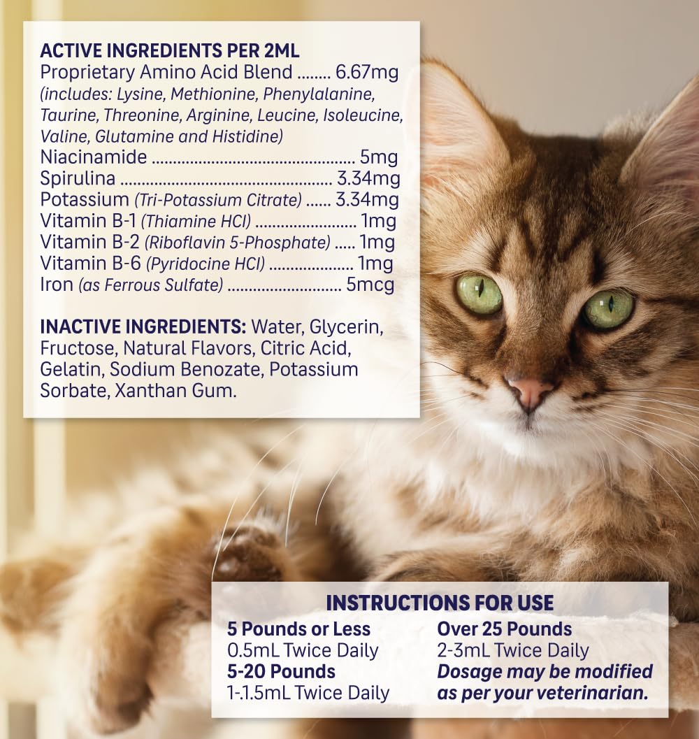 Liquid Pet Supplement with Vitamin B Complex & Iron 2 fl oz X933706