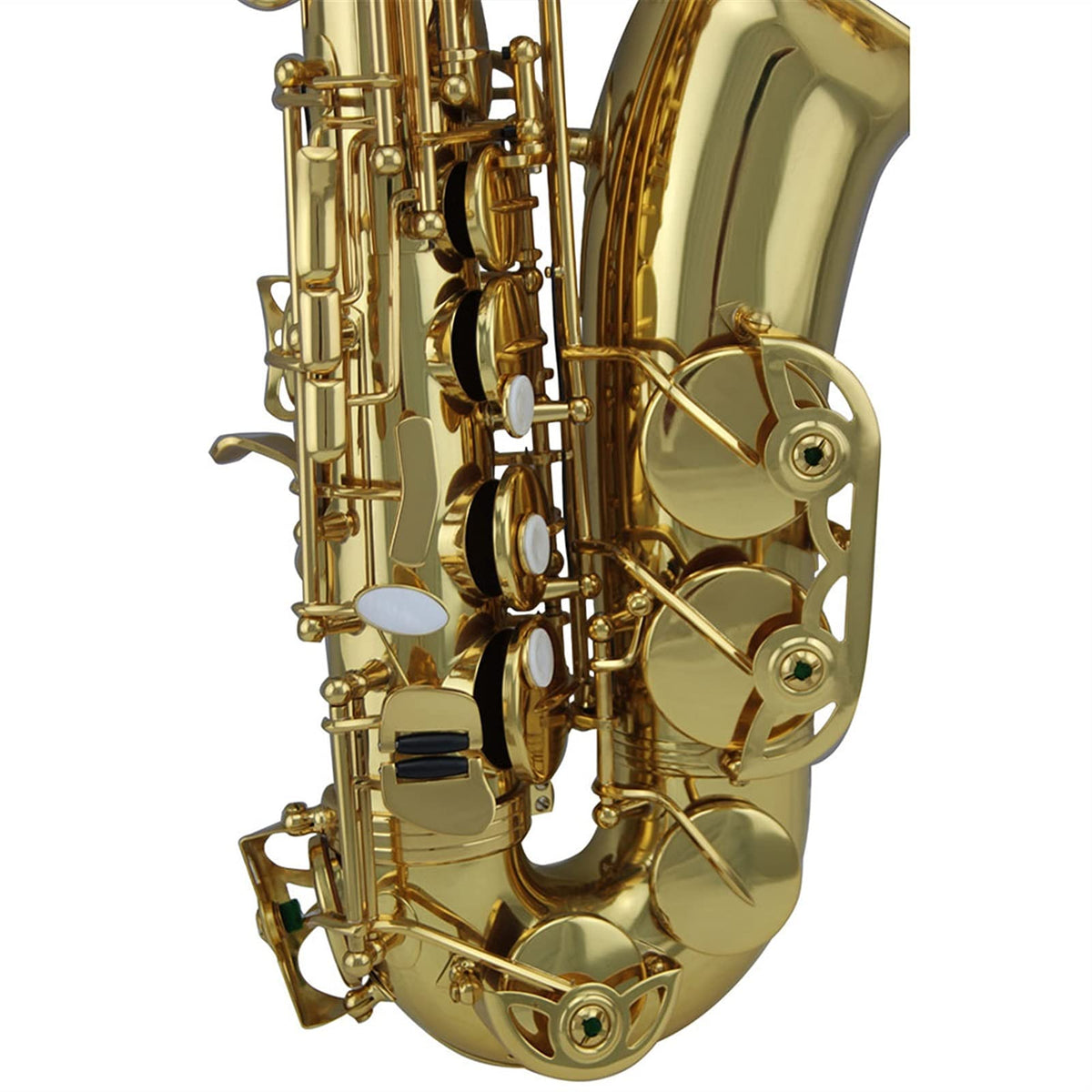 Gold Lacquer Alto Saxophone Set R2536