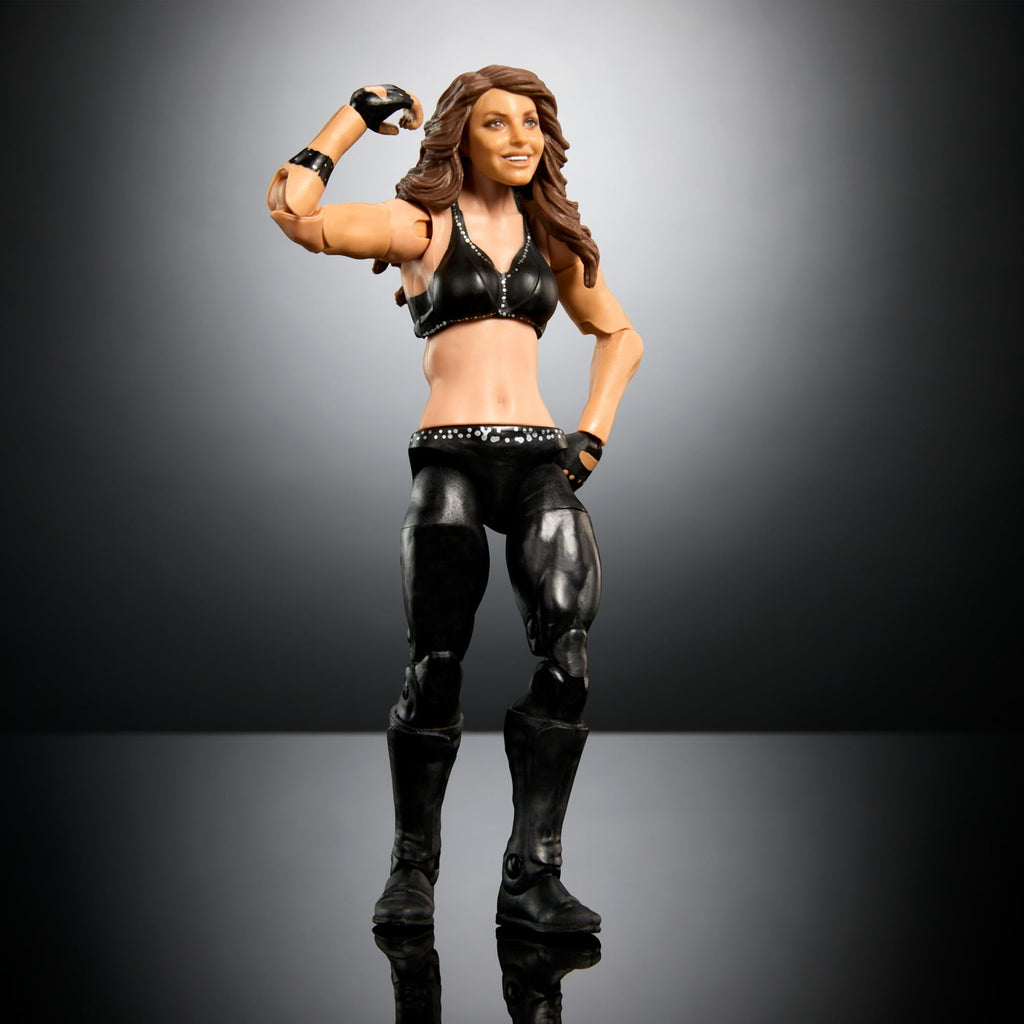 WrestleMania Action Figure Set with Accessory T6234