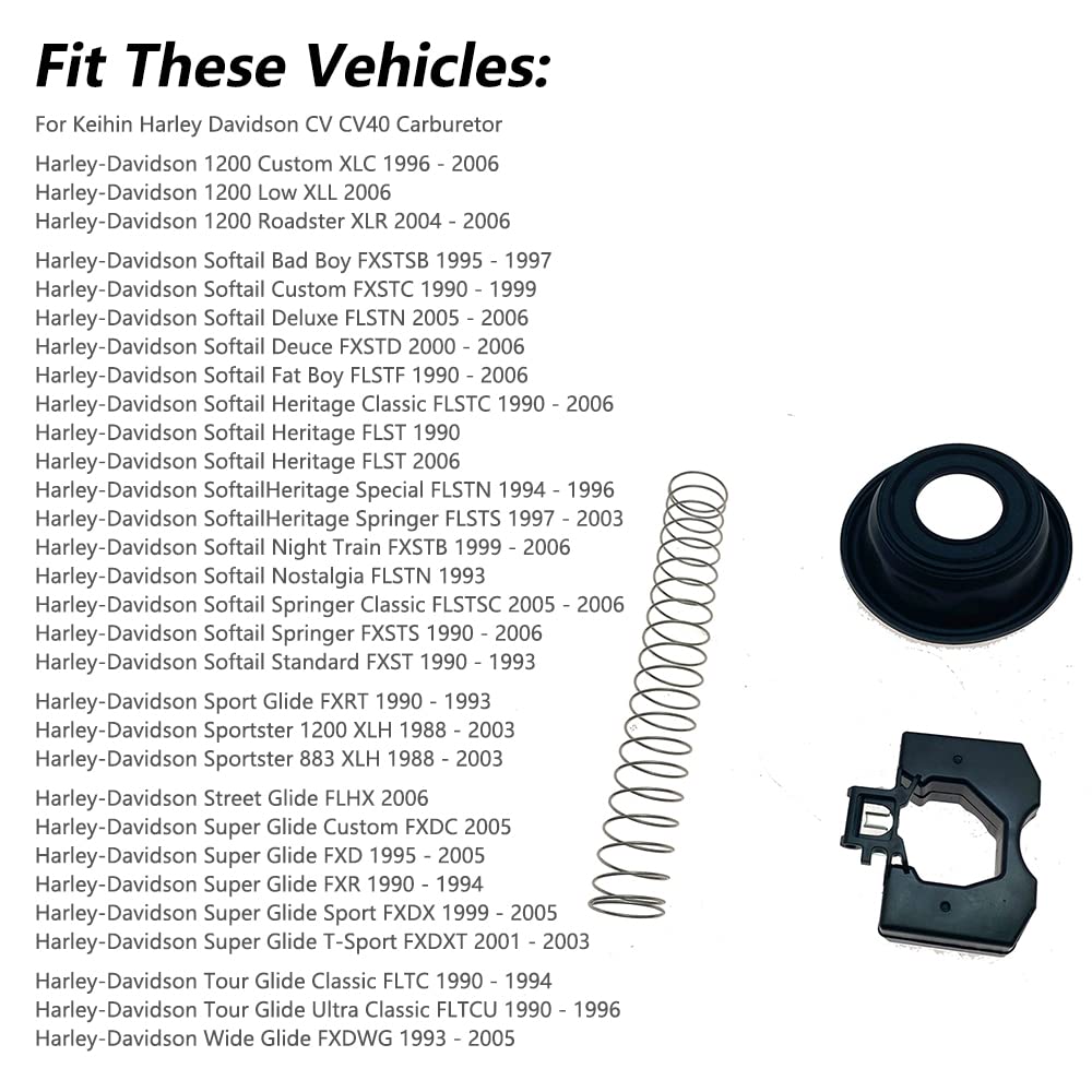 Carburetor Repair Rebuild Kit M4496