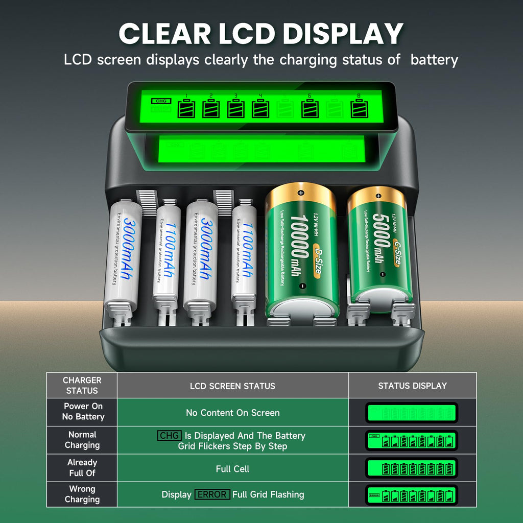 Rechargeable D Batteries with Charger A555658