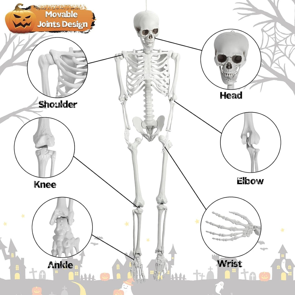 5.4 Ft White Skeleton with Movable Joints R36655