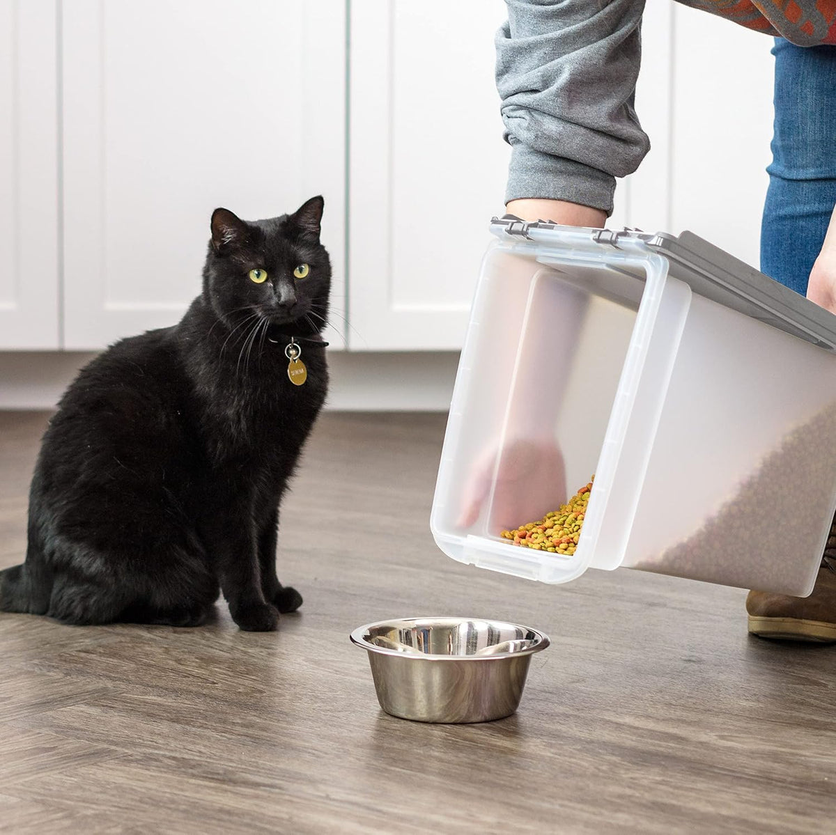 Dog Food Storage Container Up to 10 lbs J460149