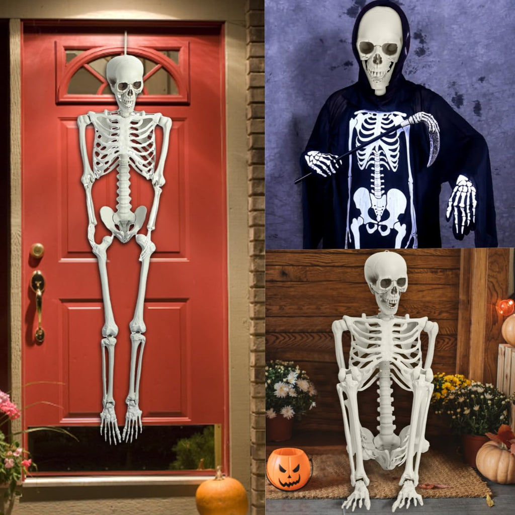 5.4 Ft White Skeleton with Movable Joints R36655