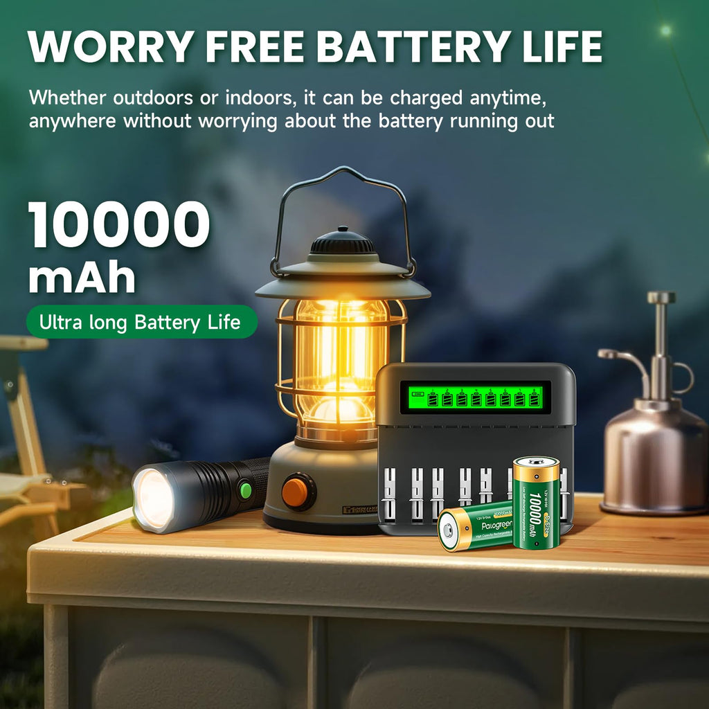 Rechargeable D Batteries with Charger A555658