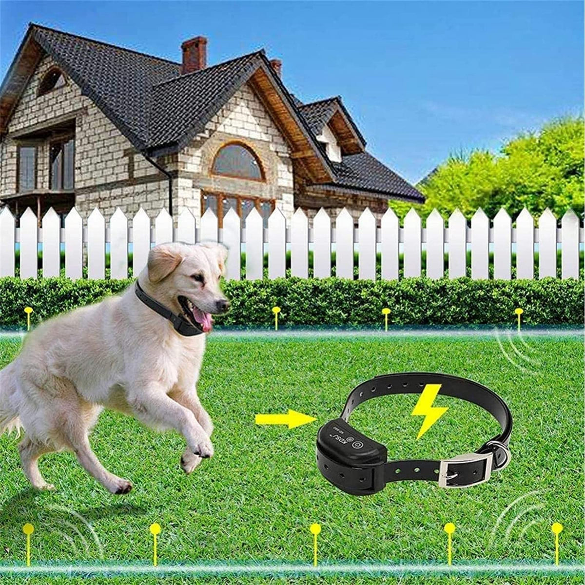 In-Ground Electric Dog Fence up to 1/2 Acre Q119060