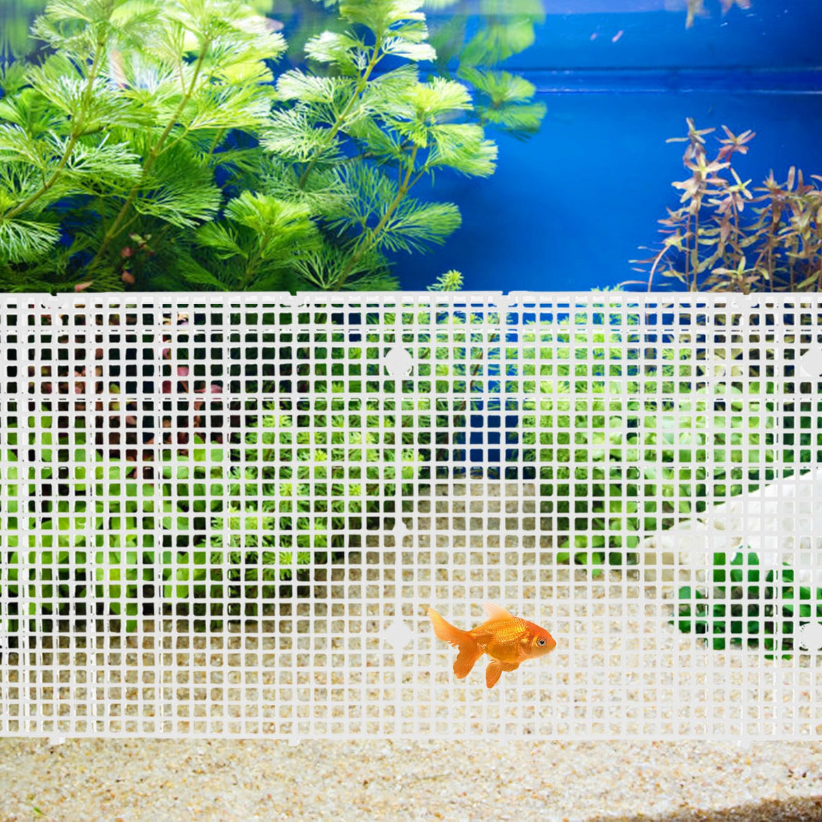 4pcs Cuttable Plastic Aquarium Tank Dividers with Suction Cups C647101