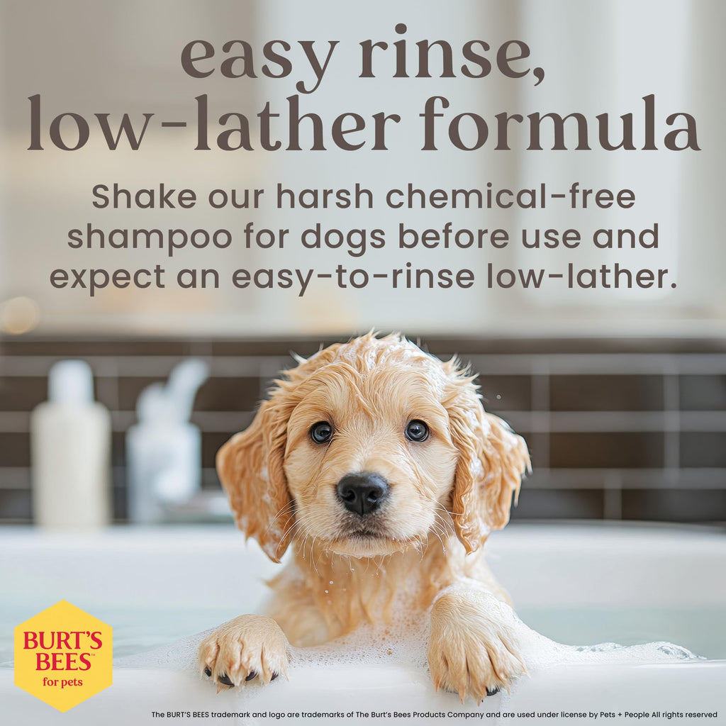 Tearless Puppy Shampoo & Conditioner with Buttermilk, 16 Fl Oz T277
