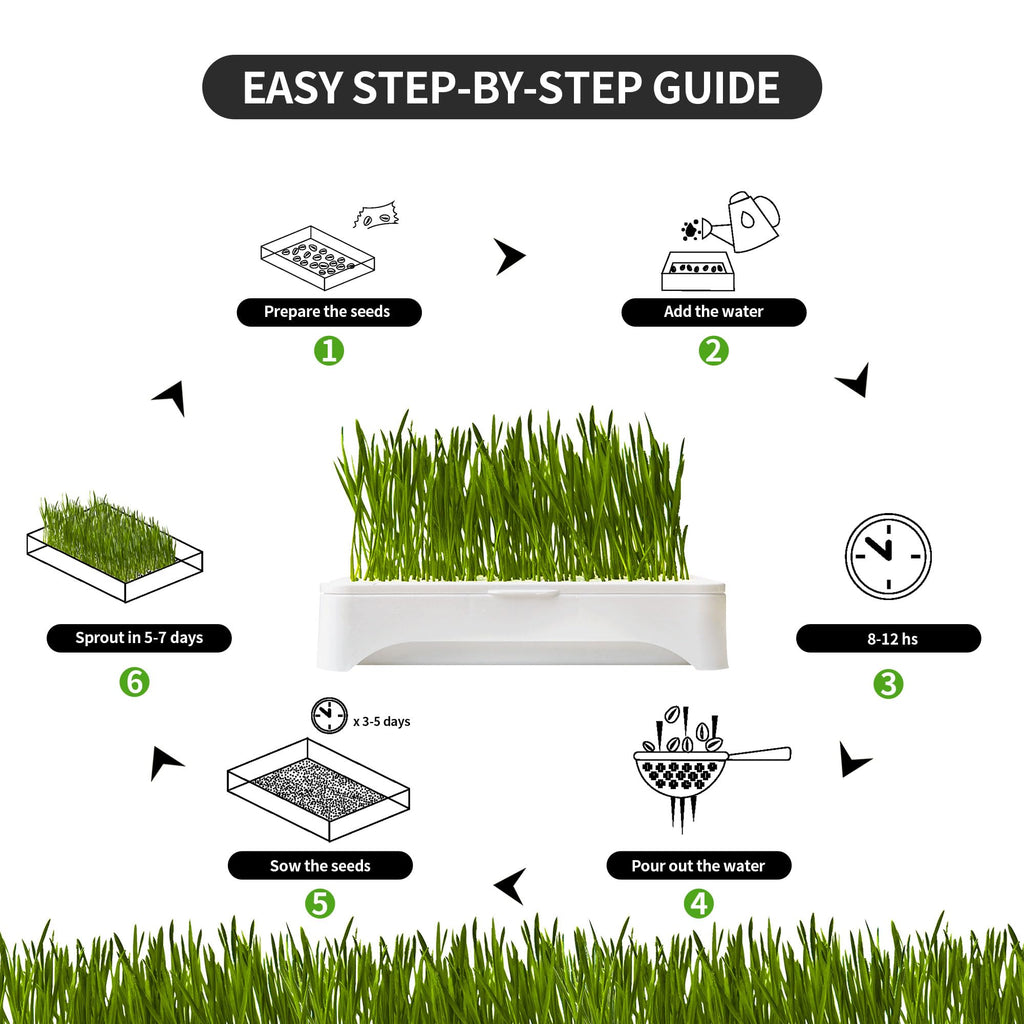 Cat Grass Kit with Organic Seeds Mix and Hydroponic Sprout Tray R7903