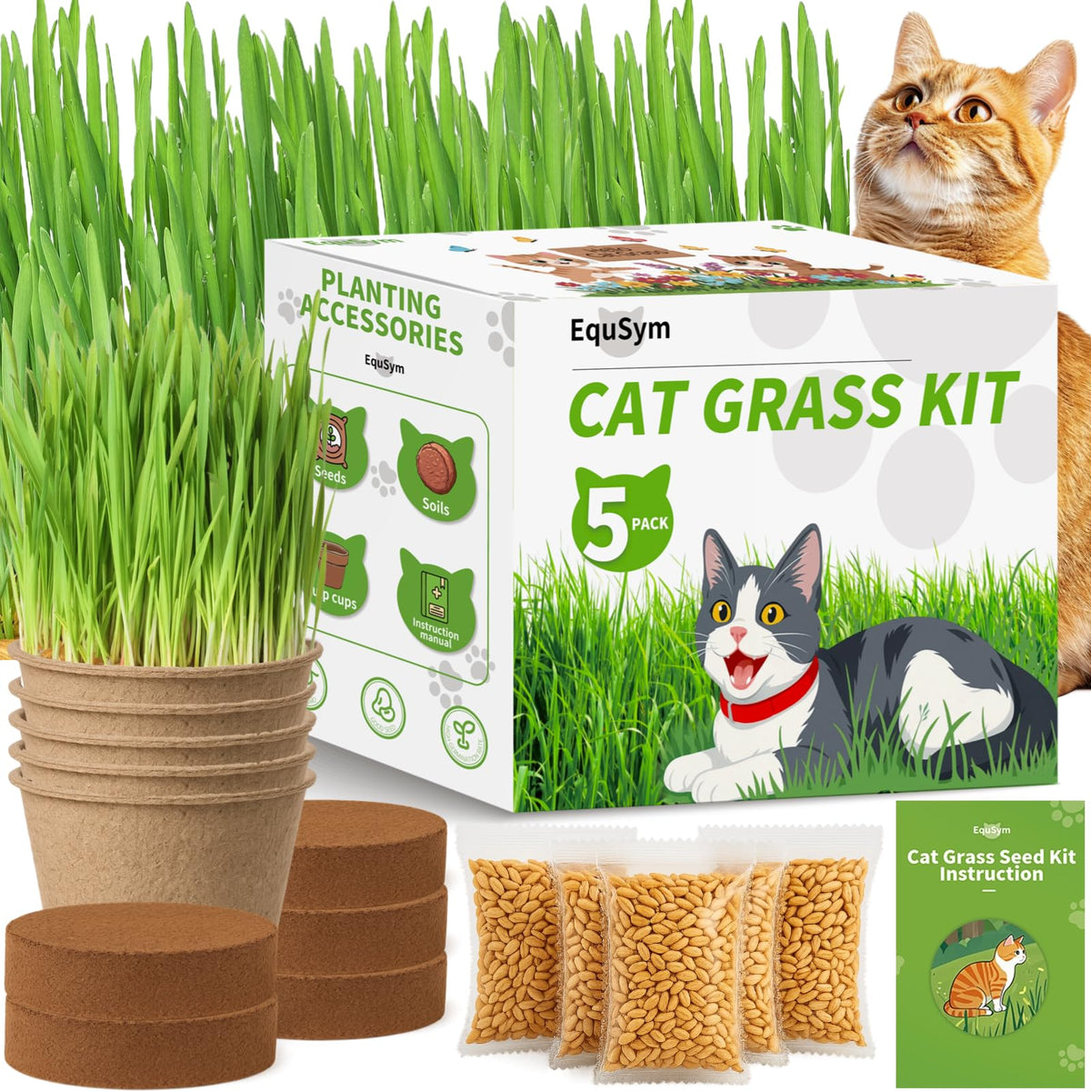Cat Grass Growing Kit O695