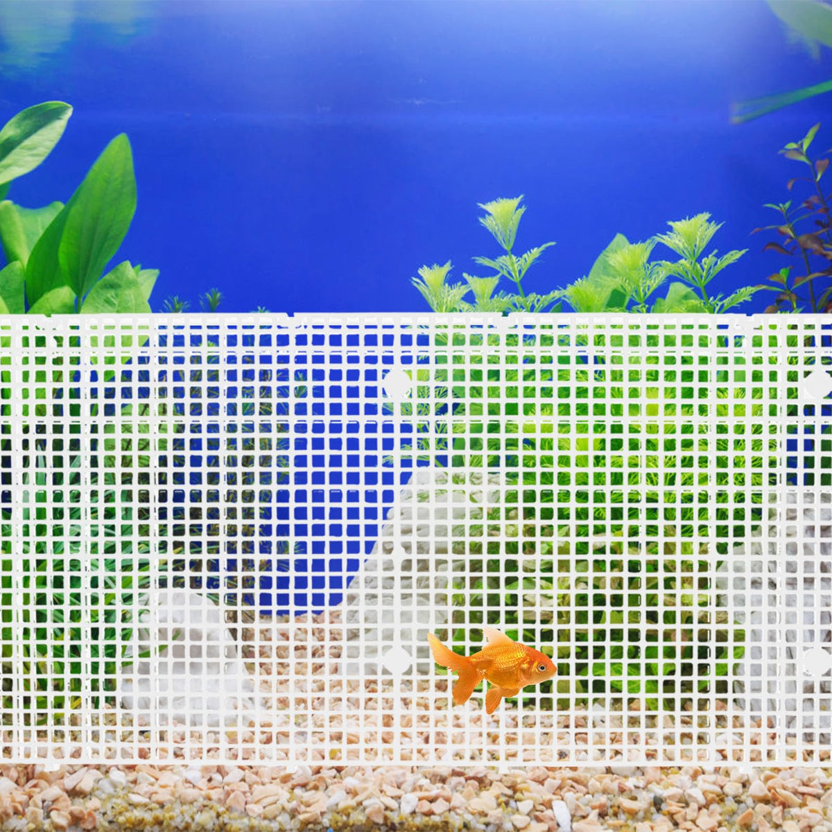 4pcs Cuttable Plastic Aquarium Tank Dividers with Suction Cups C647101