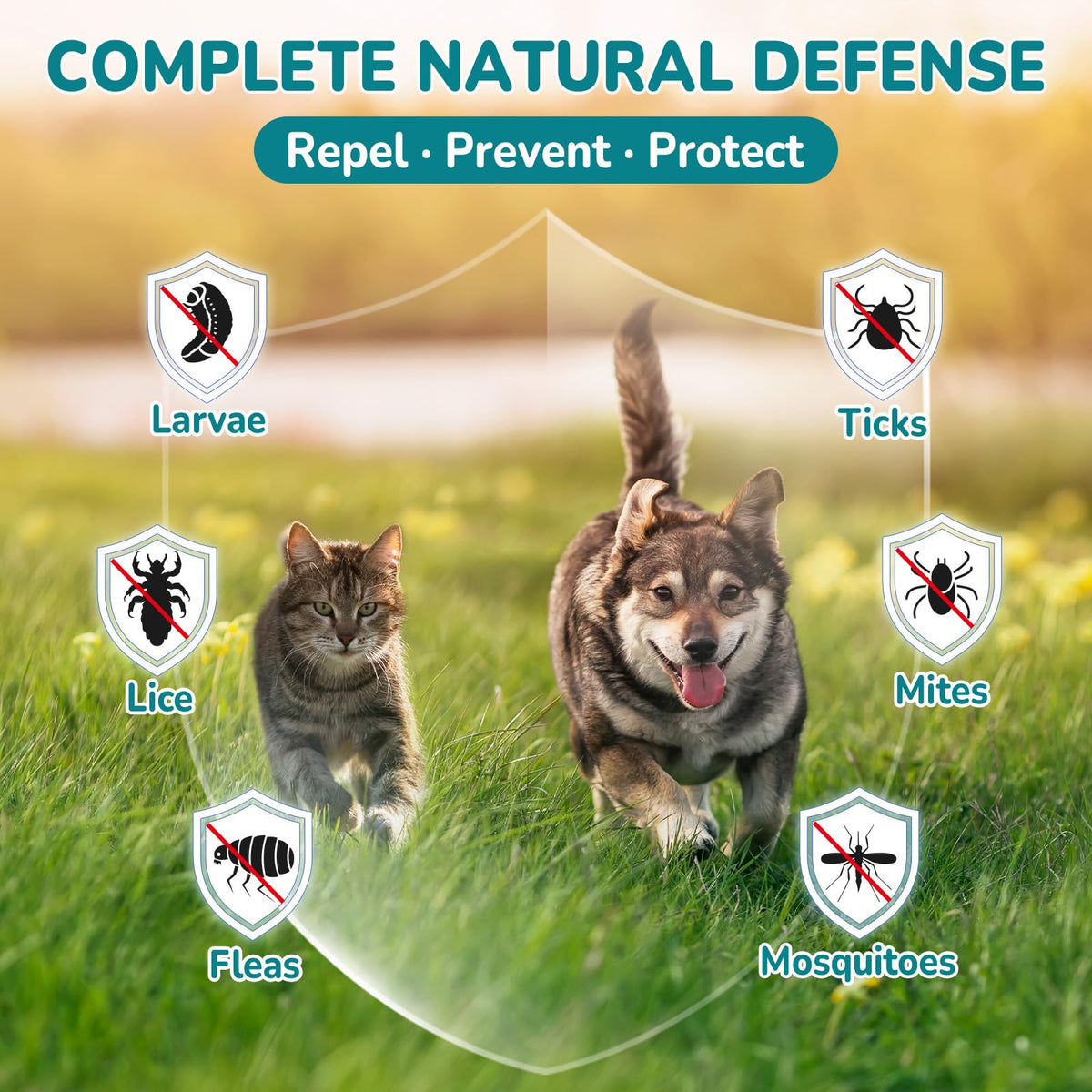 Natural Flea and Tick Prevention Drops O220118