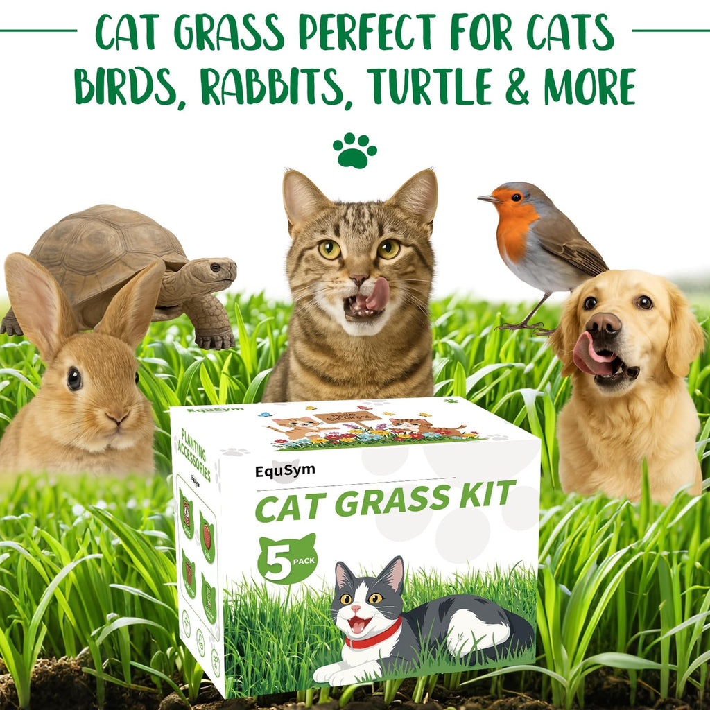 Cat Grass Growing Kit O695