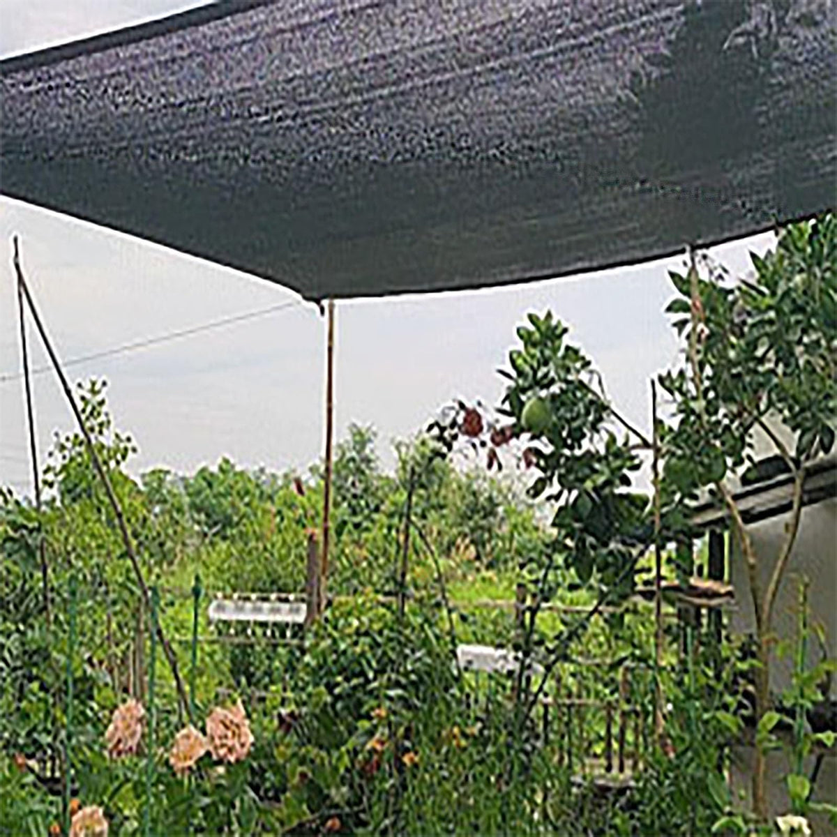 90% UV Resistant Black Shade Cloth with Grommets 5x9m D14356