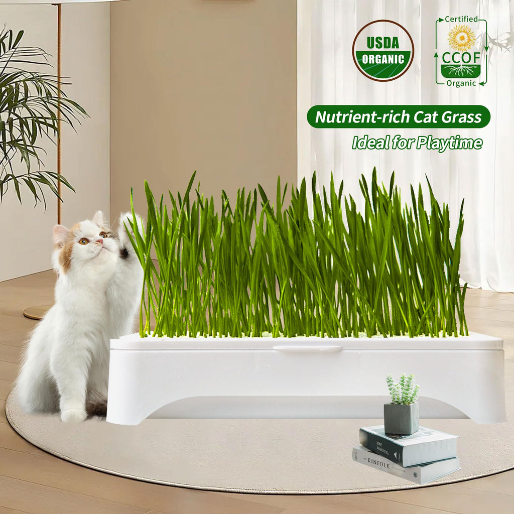 Cat Grass Kit with Organic Seeds Mix and Hydroponic Sprout Tray R7903