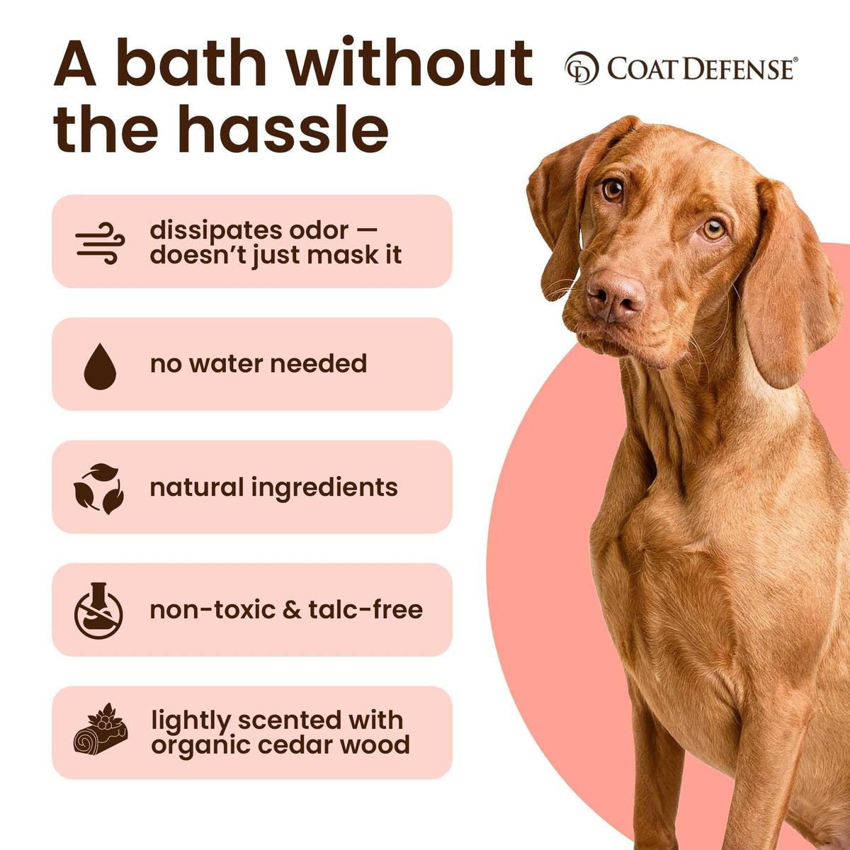 9oz Waterless Dog Shampoo & Pet Deodorizer S836