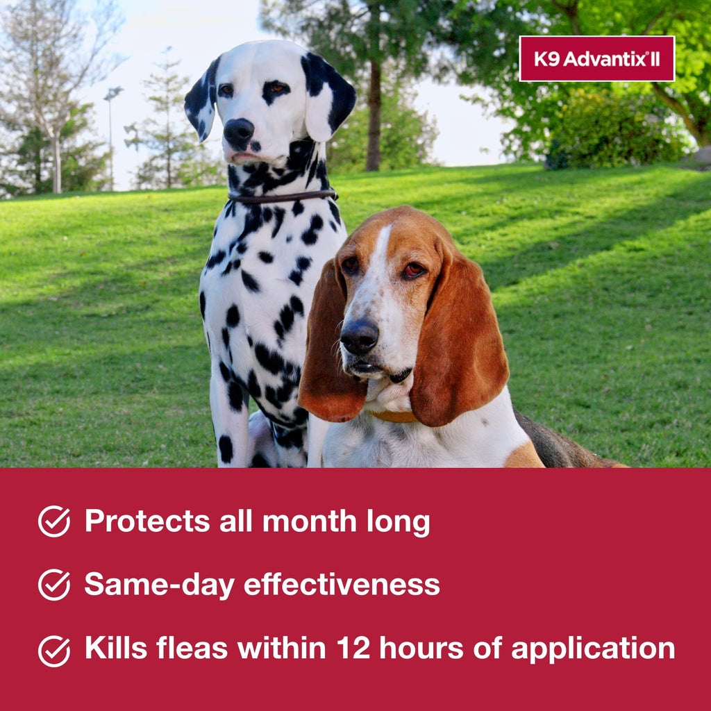 Flea, Tick & Mosquito Treatment & Prevention for Dogs 4-10 lbs M4676