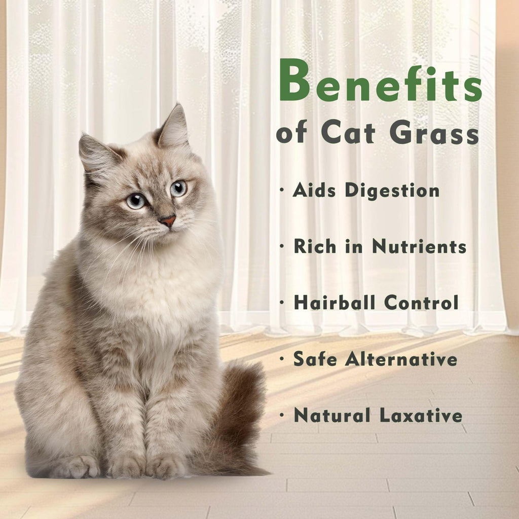 Cat Grass Kit with Organic Seeds Mix and Hydroponic Sprout Tray R7903