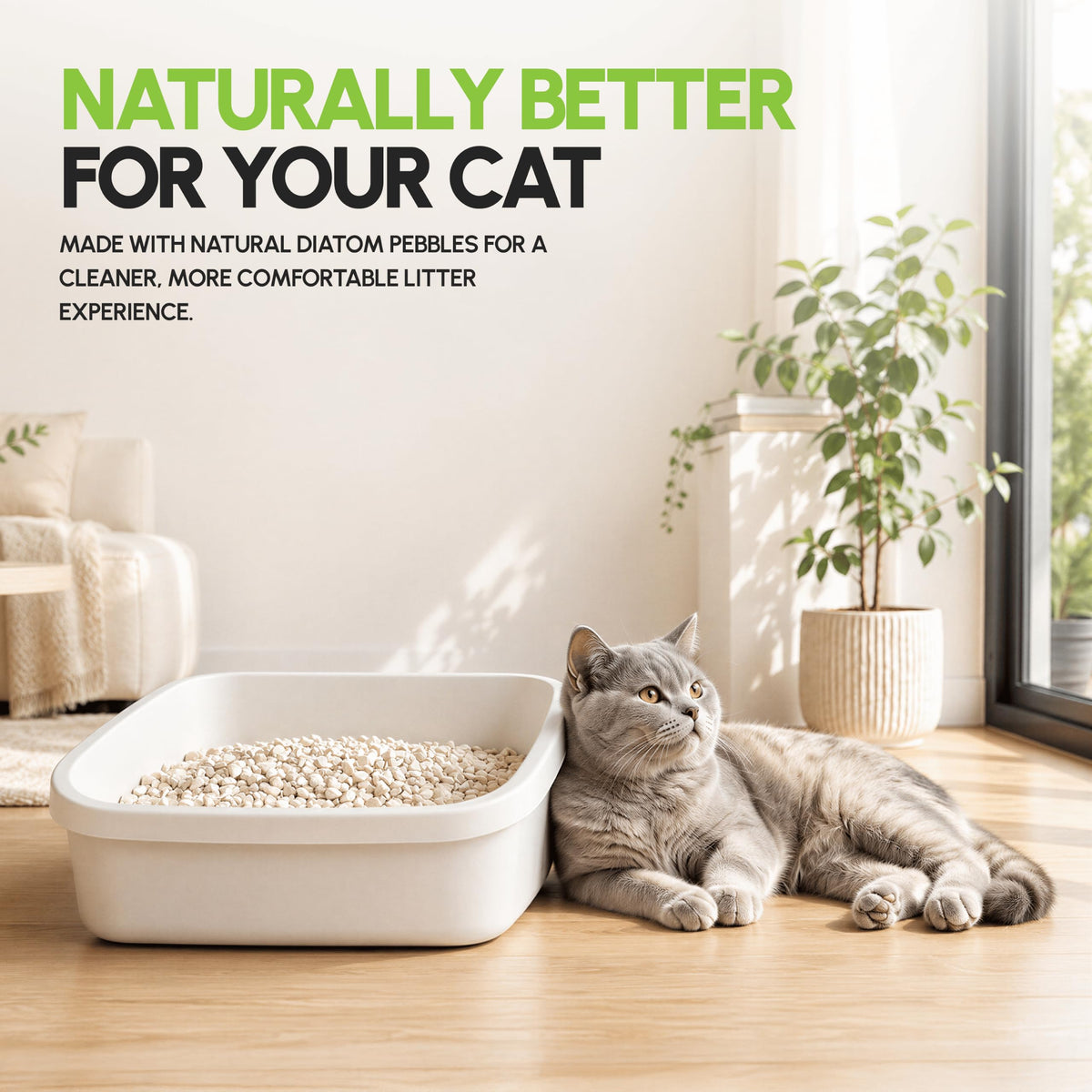 All Natural Unscented Cat Litter, 8 lbs O787