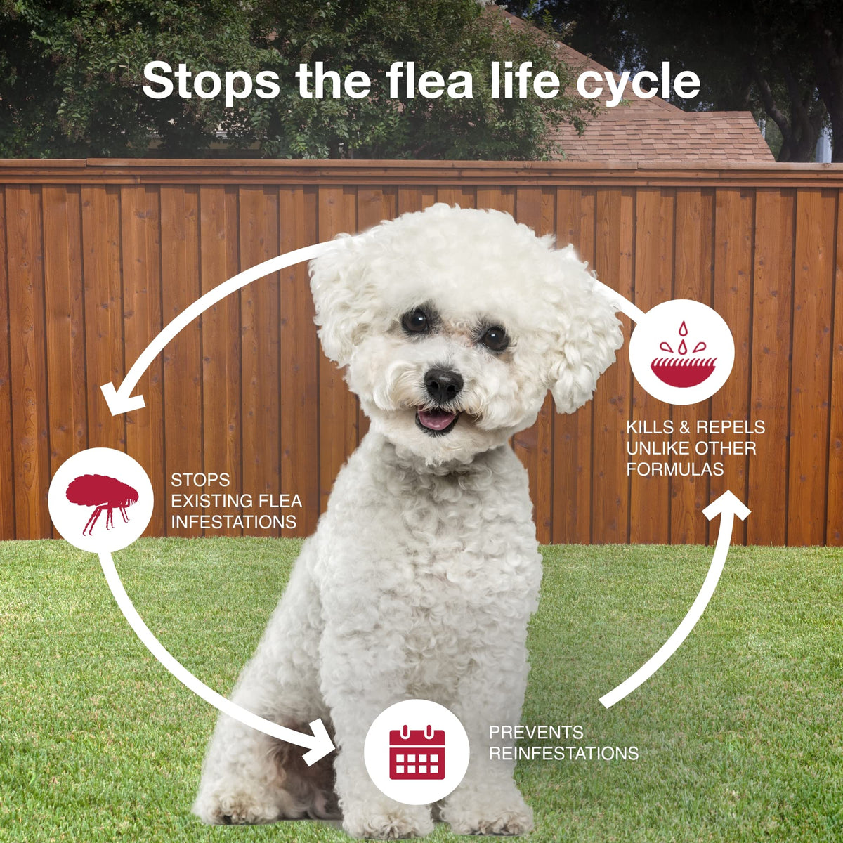 Flea, Tick & Mosquito Treatment & Prevention for Dogs 4-10 lbs M4676